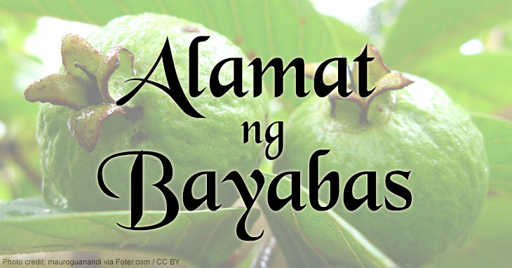 Alamat ng Bayabas (Buod + Aral) - Pinoy Collection