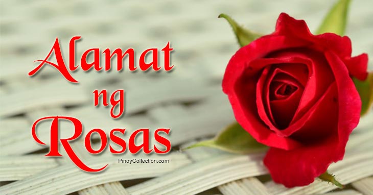 Alamat ng Rosas (4 Different Versions)
