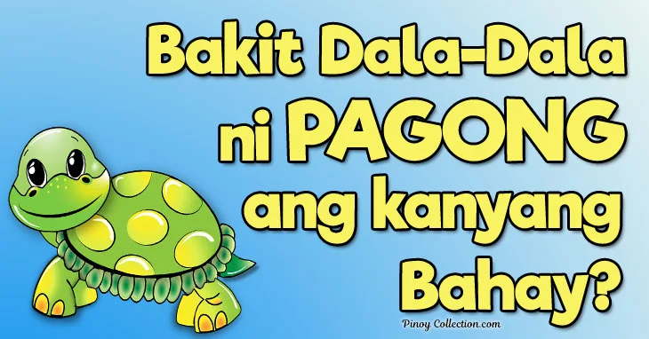 Bakit Dala-Dala ni Pagong ang Kanyang Bahay