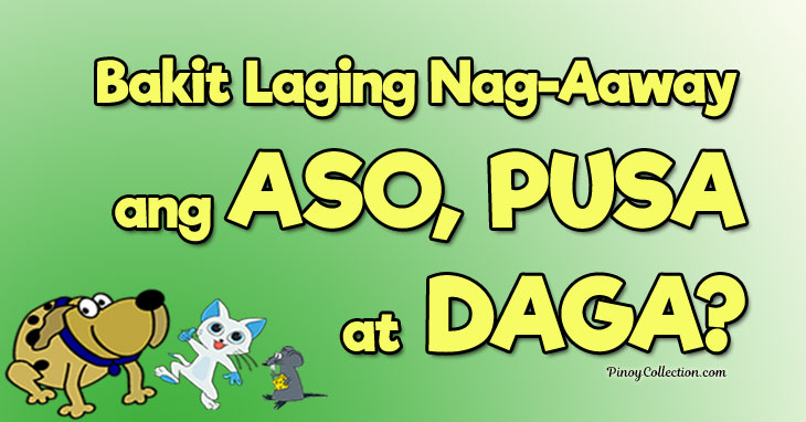 Bakit Laging Nag-Aaway ang Aso, Pusa at Daga