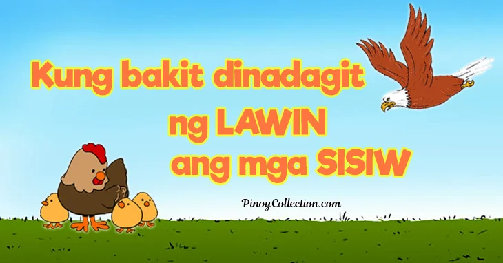 Kung bakit dinadagit ng Lawin ang mga Sisiw