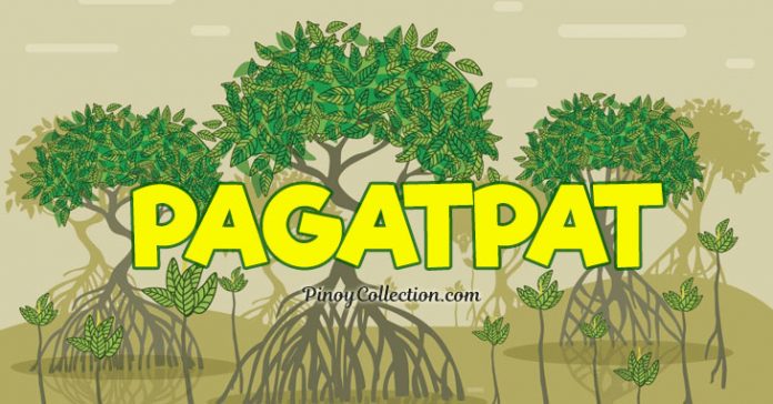 Pagatpat (Maikling Kwento tungkol sa Kalikasan) | Pinoy Collection