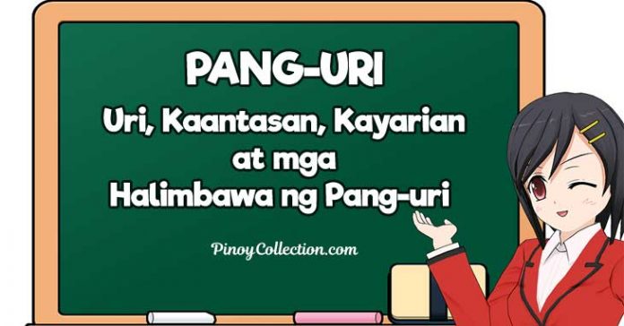 Pang-uri: Ano ang Pang-uri, Halimbawa ng Pang-uri, Kaantasan, atbp.